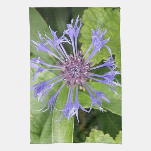 Blue Cornflower Küche Handtuch (Vertikal)