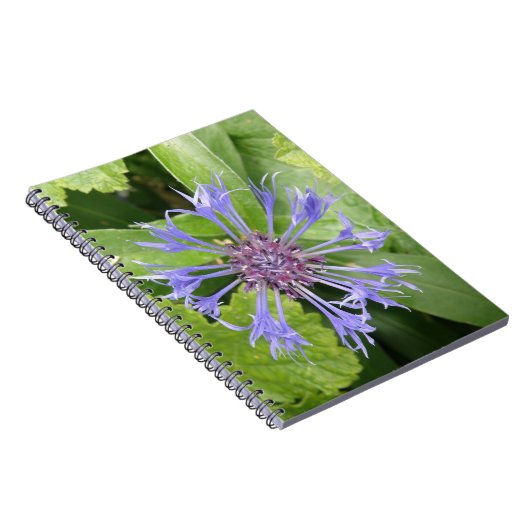 Blue Cornflower Notebook Notizblock (Rechte Seite)