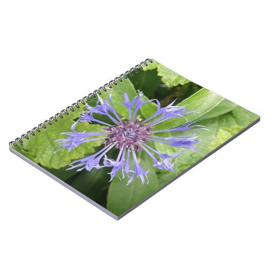 Blue Cornflower Notebook Notizblock (Linke Seite)