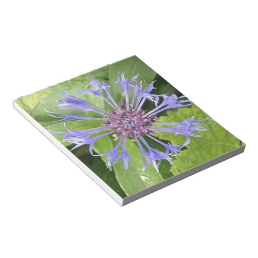 Blue Cornflower Notepad Notizblock (angewinkelt)