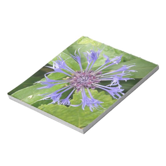 Blue Cornflower Notepad Notizblock (Rotiert)