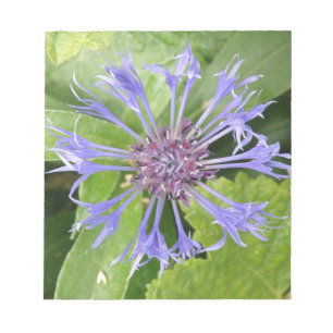 Blue Cornflower Notepad Notizblock