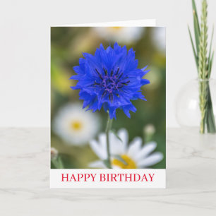 Blue Cornflower up nah Geburtstagskarte Karte