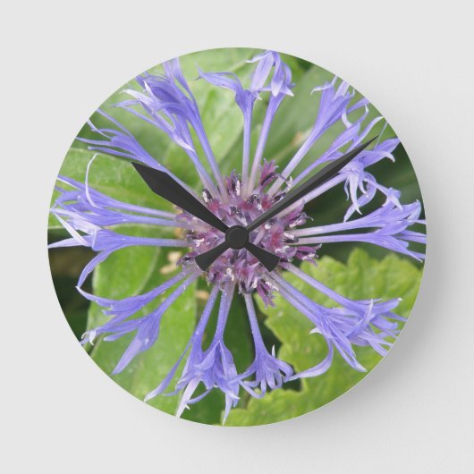 Blue Cornflower Wall Clock Runde Wanduhr (Vorderseite)