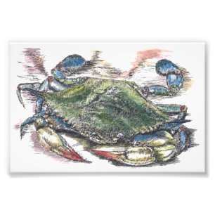 Blue Crab Art Foto Print