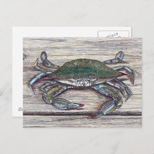 Blue Crab auf Dock Postkarte (Vorne/Hinten)