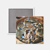 Blue Crab Bushel Magnet (Vorderseite/Rückseite)
