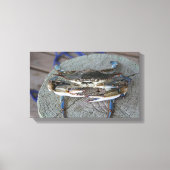 Blue Crab Chesapeake Bay Leinwand Art (Vorderseite)