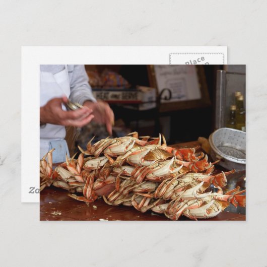 Blue Crab Fee Postkarte (Vorne/Hinten)