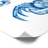 Blue Crabs Antique Meereswelt Crustaceans Print No Poster (Ecke)