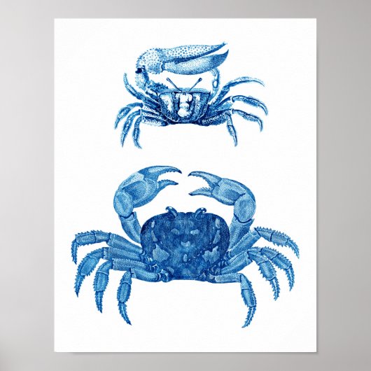 Blue Crabs Coastal Dekoration Art Print no.3 (Vorne)
