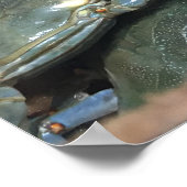 Blue Crabs - Das gute Leben in North Carolin Poster (Ecke)