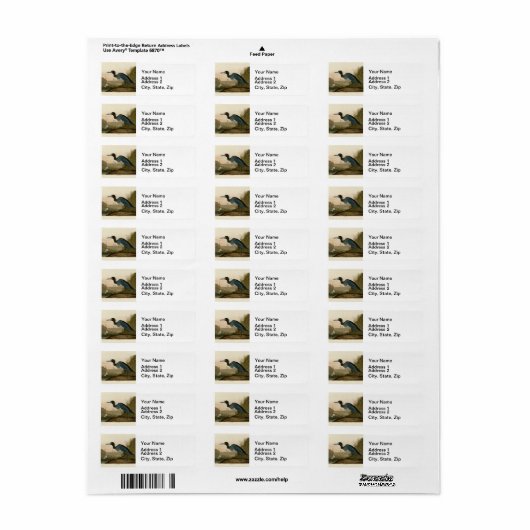 Blue Crane Heron Audubon Malerei (Vorne)