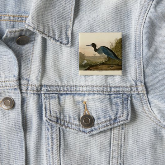 Blue Crane Heron Audubon Malerei Button (Beispiel)