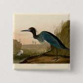 Blue Crane Heron Audubon Malerei Button (Vorderseite)