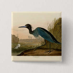 Blue Crane Heron Audubon Malerei Button