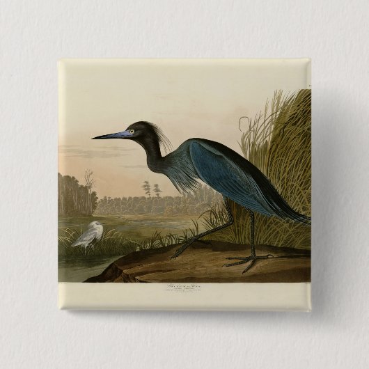 Blue Crane Heron Audubon Malerei Button (Vorderseite)