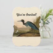 Blue Crane Heron Audubon Malerei Einladung (Stehend Vorderseite)