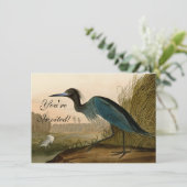 Blue Crane Heron Audubon Malerei Einladung (Stehend Vorderseite)