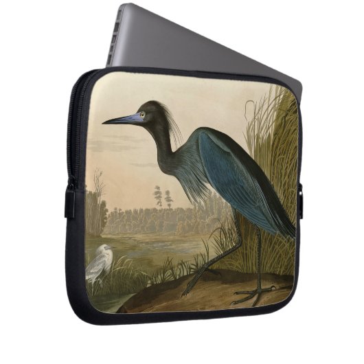 Blue Crane Heron Audubon Malerei Laptopschutzhülle (Vorne Rechts)