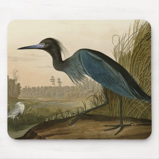 Blue Crane Heron Audubon Malerei Mousepad (Vorne)