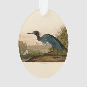 Blue Crane Heron Audubon Malerei Ornament