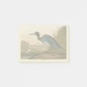 Blue Crane Heron Audubon Malerei Post-it Klebezettel