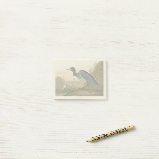 Blue Crane Heron Audubon Malerei Post-it Klebezettel (Auf Schreibtisch)