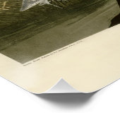 Blue Crane Heron Audubon Malerei Poster (Ecke)