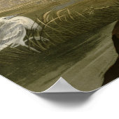 Blue Crane Heron Audubon Malerei Poster (Ecke)