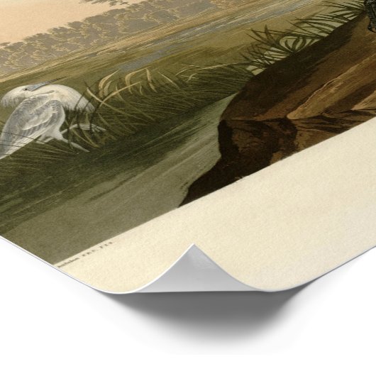 Blue Crane Heron Audubon Malerei Poster (Ecke)