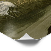 Blue Crane Heron Audubon Malerei Poster (Ecke)