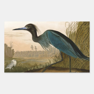 Blue Crane Heron Audubon Malerei Rechteckiger Aufkleber