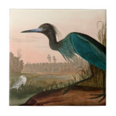 Blue Crane oder Heron Birds of America Audubon Pri Fliese (Vorderseite)