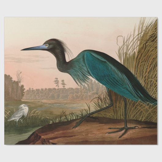 Blue Crane oder Heron Birds of America Audubon Pri Geschenkpapier (Flach)