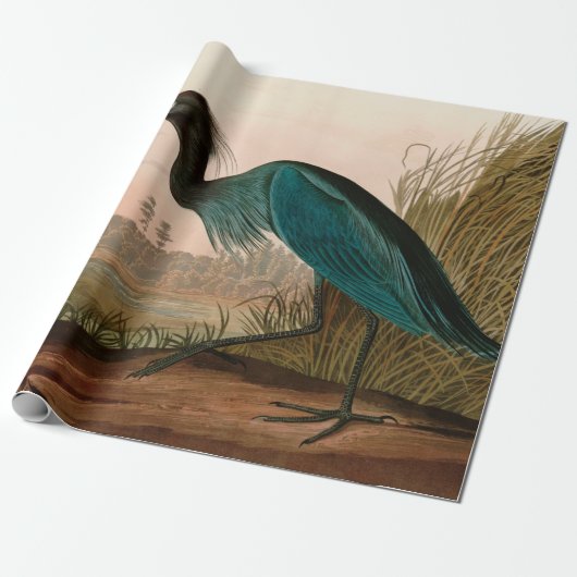 Blue Crane oder Heron Birds of America Audubon Pri Geschenkpapier (Ungerollt)