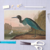 Blue Crane oder Heron Birds of America Audubon Pri Seidenpapier (Handwerk)