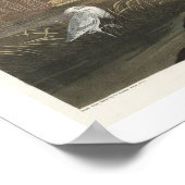 Blue Crane oder Heron von Audubon Poster (Ecke)