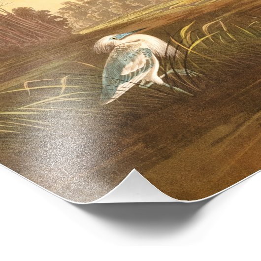 Blue Crane oder Heron von John James Audubon Fotodruck (Ecke)