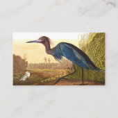 Blue Crane oder Heron von John James Audubon Visitenkarte (Vorderseite)