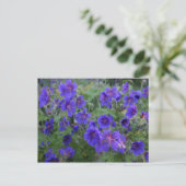 Blue Cranesbill Blume Postkarte (Stehend Vorderseite)