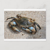 Blue Crawling Postkarte (Vorderseite)