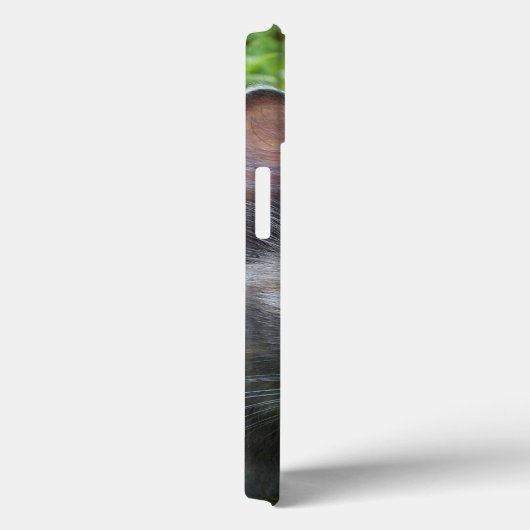 Blue Cream - Tortie Kitty iPad Case (Rückseite / Rechts)