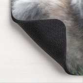 Blue Cream - Tortie Kitty Mouse Pad Mousepad (Ecke)