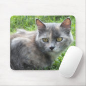 Blue Cream - Tortie Kitty Mouse Pad Mousepad (Mit Mouse)