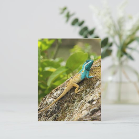 Blue-Crested Lizard Calotes Mystaceus Postkarte (Stehend Vorderseite)