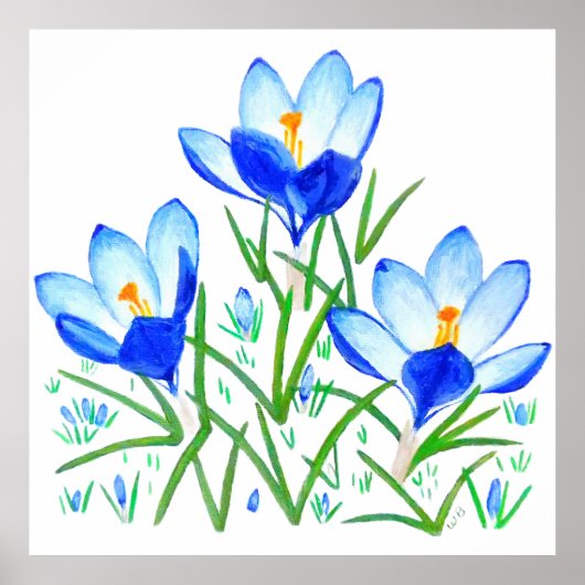 Blue Crocus Flowers Print Poster (Vorne)