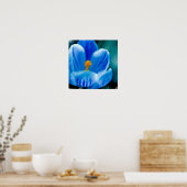 Blue Crocus Poster (Küche)