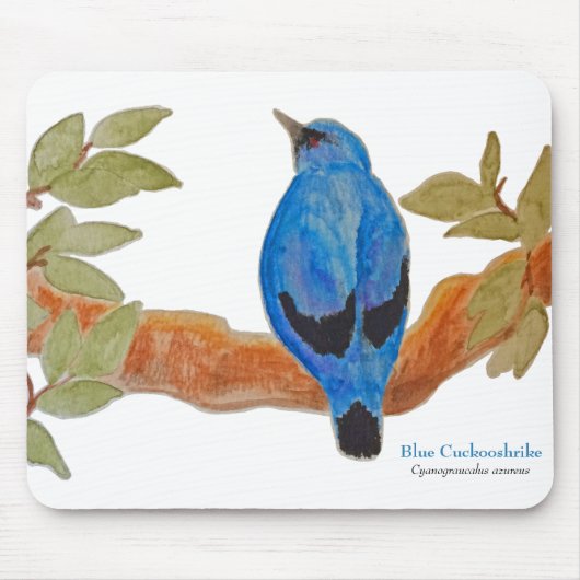 Blue Cuckoshrike Watercolor Bird Mousepad (Vorne)