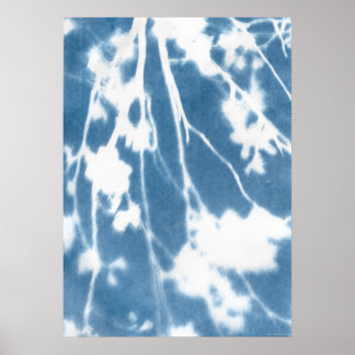 Blue Cyanotype Japan Kirry Bloom Vintag inspiriert Poster